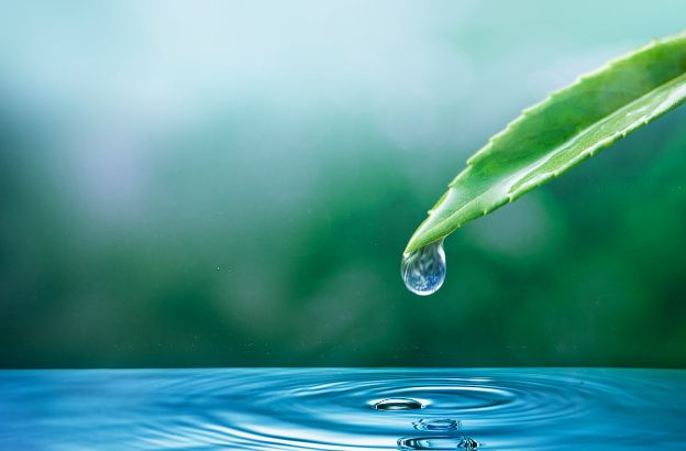 acqua.jpg acqua.jpg