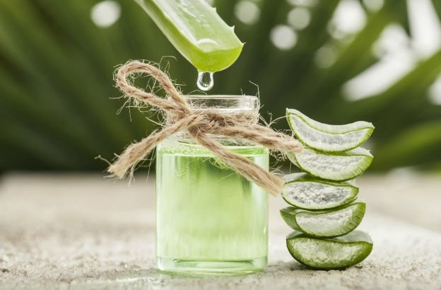 aloe-proprieta aloe-proprieta