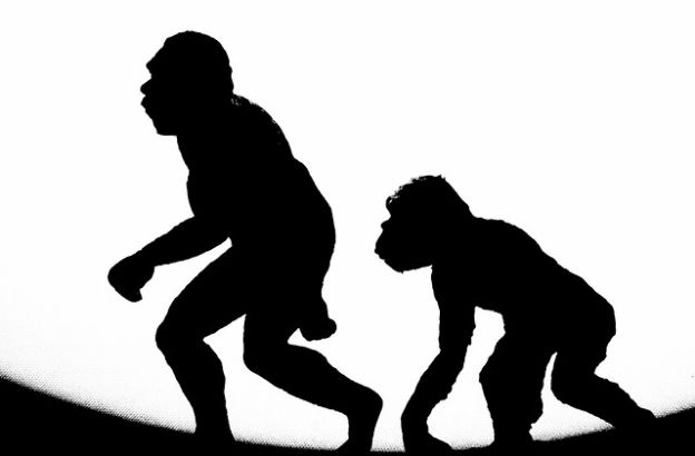 evoluzione evoluzione