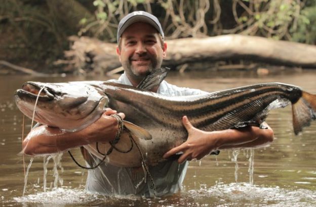 monster-fish