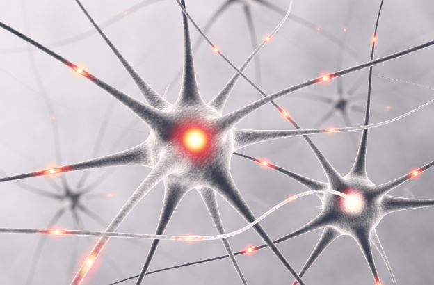 neuroni neuroni