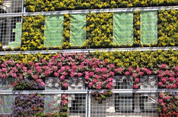 palazzo-fiori palazzo-fiori