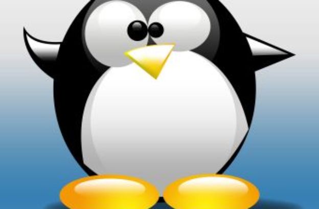 pinguino-cartoon0