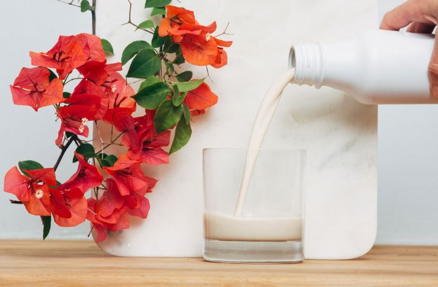 soylent