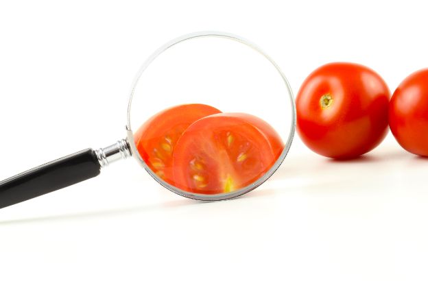 allergie-intolleranze