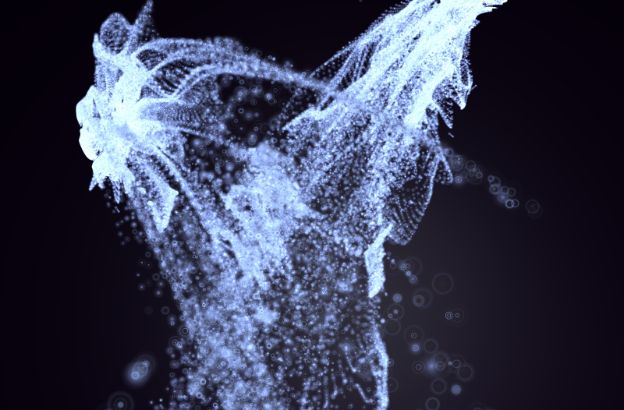 bioluminescenza bioluminescenza