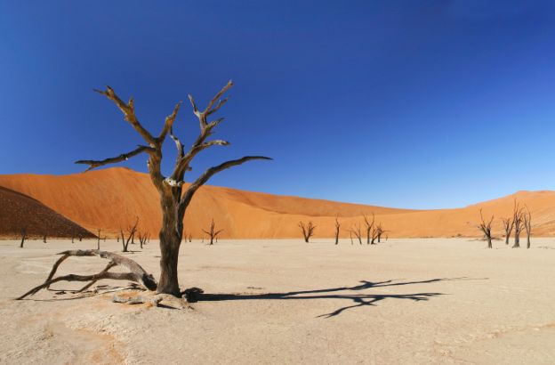 deserto deserto