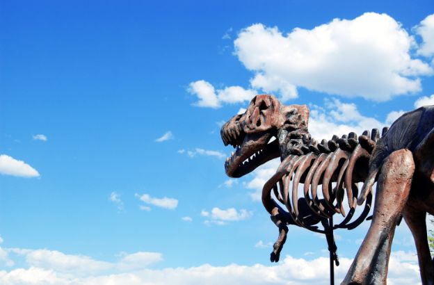 dinosaur dinosaur