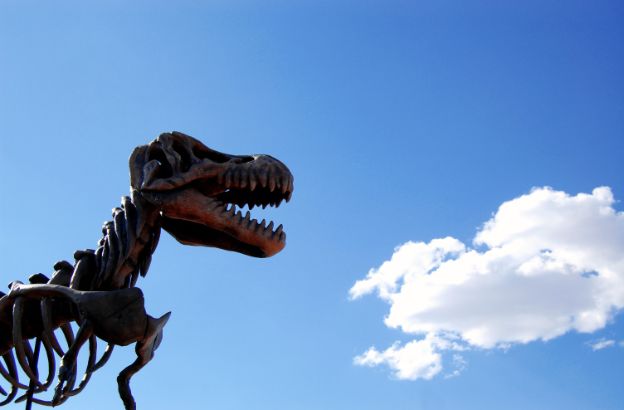 dinosauri dinosauri