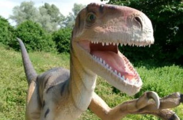 dinosauro-classificazione dinosauro-classificazione