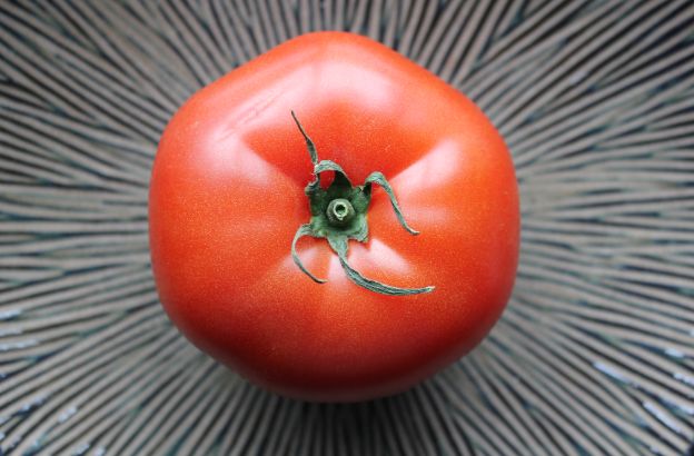 tomato tomato