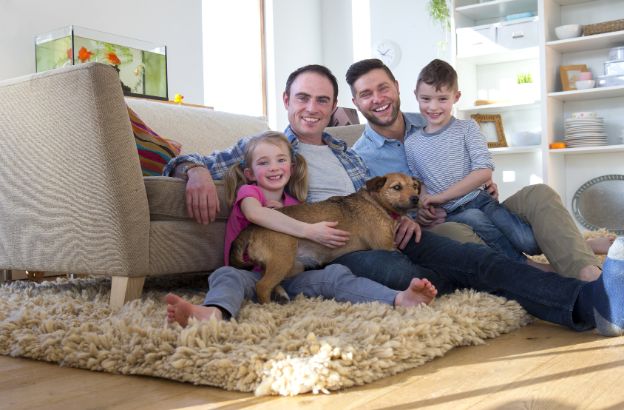 stepchildadoption stepchildadoption