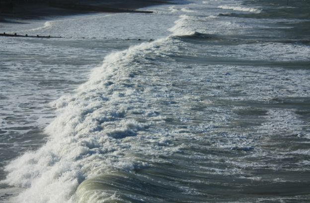 marea marea