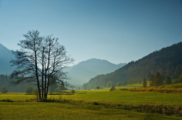 valle valle