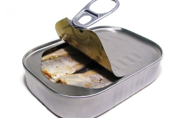 sardine sardine