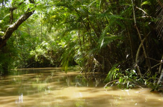 fiume-amazzonia fiume-amazzonia