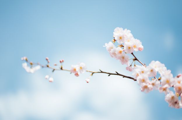 equinozio-primavera.jpg equinozio-primavera.jpg