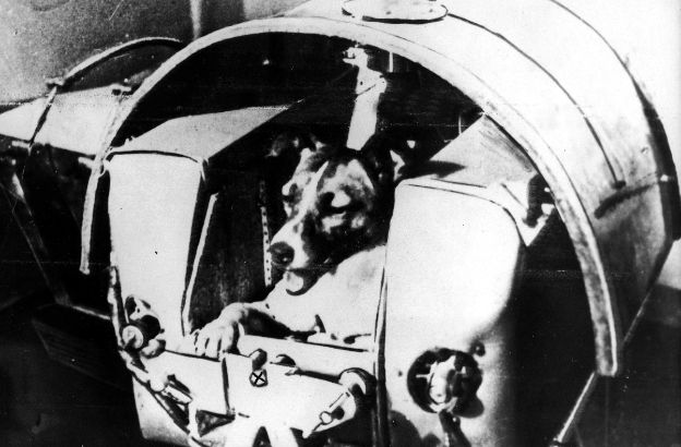 laika-cane-spazio.jpg laika-cane-spazio.jpg