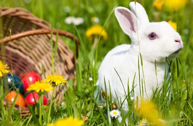 pasqua-tradizioni-dal-mondo.jpg
