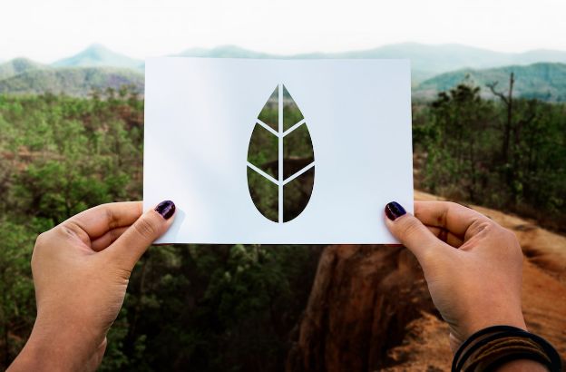 impronta-ecologica.jpg impronta-ecologica.jpg
