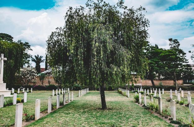 cimitero.jpg