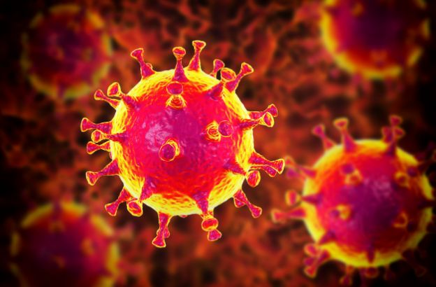 coronavirus1.jpg coronavirus1.jpg