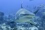 Fotolia_51108376_Subscription_L