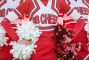 effetto-cheerleader