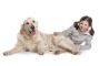 pet-therapy