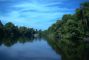 amazzonia