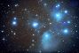stelle