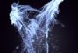 bioluminescenza
