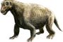 cinodonte