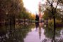 alluvione-bosco