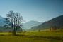 valle