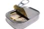 sardine