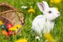 pasqua-tradizioni-dal-mondo.jpg