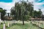cimitero.jpg
