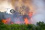 foresta-amazzonica-incendi.jpg