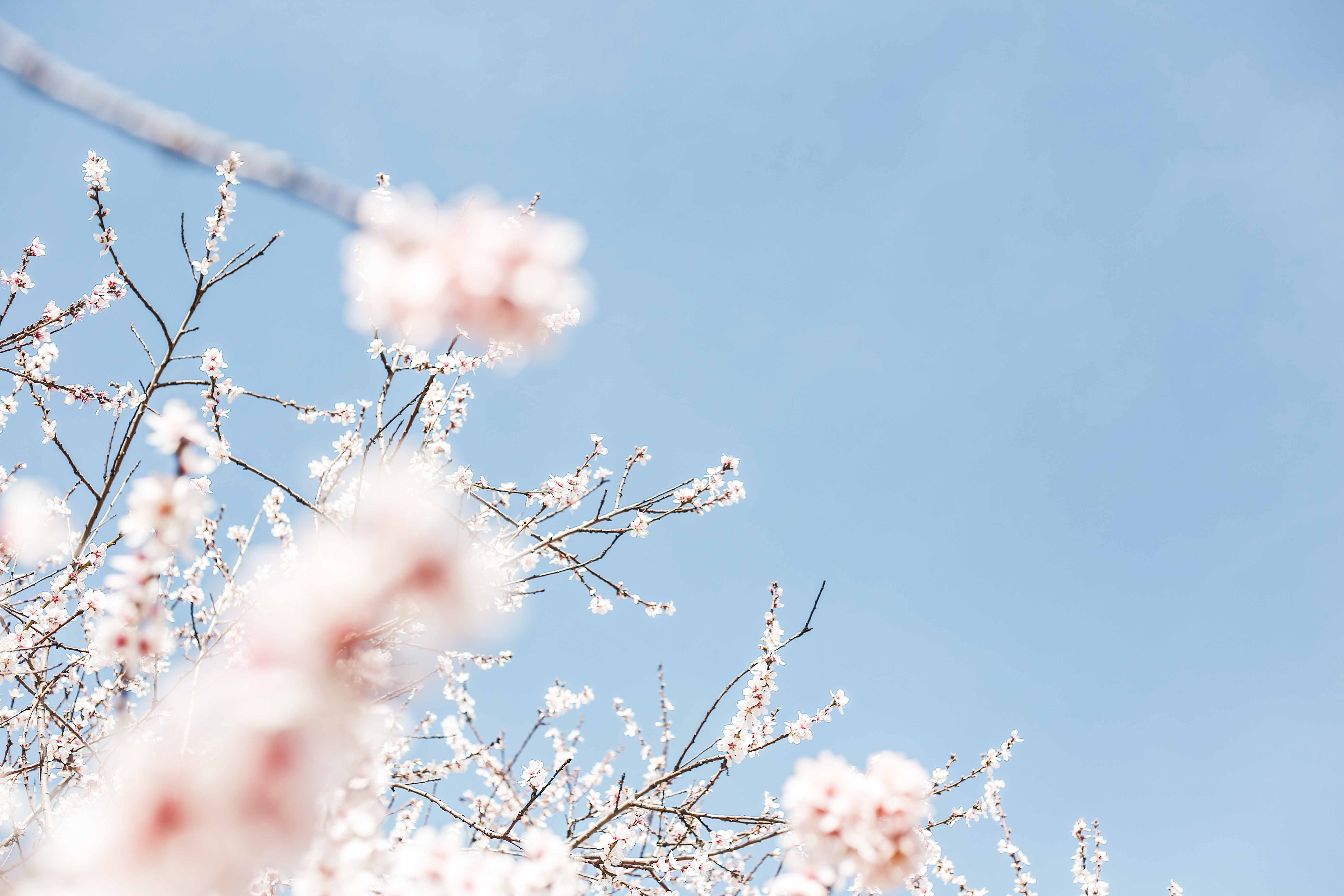 Cos'è l'equinozio di primavera