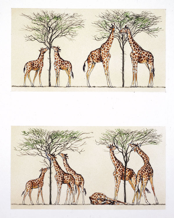 Teorie evolutive: la teoria di Jean-Baptiste Lamarck e la teoria di Charles Darwin Darwin ebbe modo di effettuare numerose osservazioni sulla geologia, la fauna e la flora, specie dell'America Meridionale, che gli offrirono prezioso materiale per affrontare il problema dell'origine delle specie.