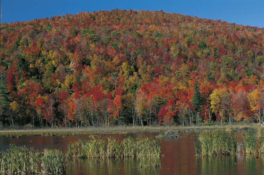 L'autunno in Canada, al Parc de la Gatineau Nell'emisfero boreale l'autunno comincia il 22 o il 23 settembre (giorno dell'equinozio) e termina il 21 dicembre (giorno del solstizio d'inverno); la sua durata è di 89 giorni e 19 ore.