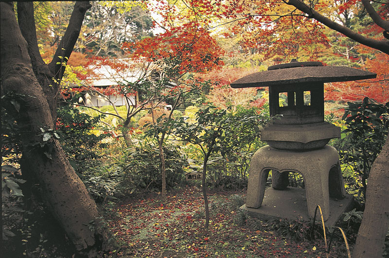 Giardino nel museo d'arte Nezu Giardino nel museo d'arte Nezu, nel quartiere Minami-Aoyama di Tokyo, Giappone.
© De Agostini Picture Library.